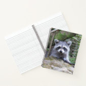 Niedlich Baby Raccoon Pic Notebook Notizblock (Innenseite)