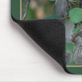 Niedlich Baby Raccoons Mousepad (Ecke)