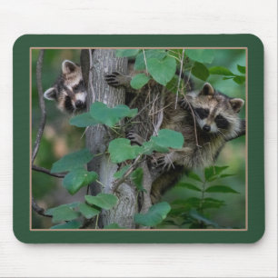 Niedlich Baby Raccoons Mousepad