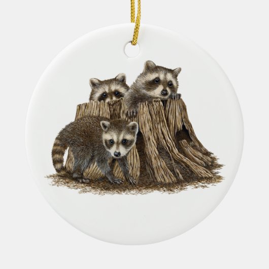 Niedlich Baby Raccoons Ornament (Vorne)