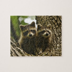 Niedlich Baby Raccoons Puzzle