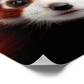 Niedlich Baby Red Panda Portrait | Platz 1:1 Poster (Ecke)