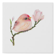 Niedlich Baby Redpoll Bird Baby Dusche