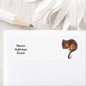 Niedlich Baby Ringtail Possum (Insitu)