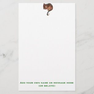 Niedlich Baby Ringtail Possum Briefpapier