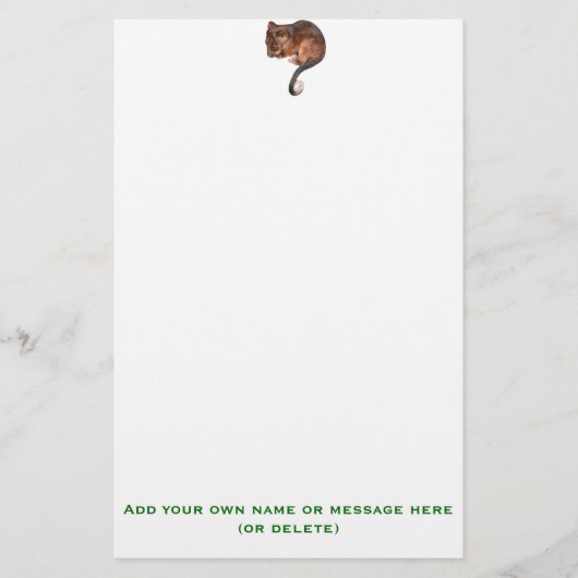 Niedlich Baby Ringtail Possum Briefpapier (Vorderseite)