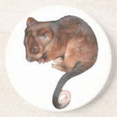Niedlich Baby Ringtail Possum Getränkeuntersetzer (Vorne)