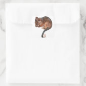 Niedlich Baby Ringtail Possum Quadratischer Aufkleber (Tasche)