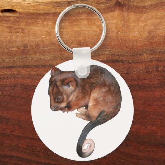 Niedlich Baby Ringtail Possum Schlüsselanhänger (Vorderseite)