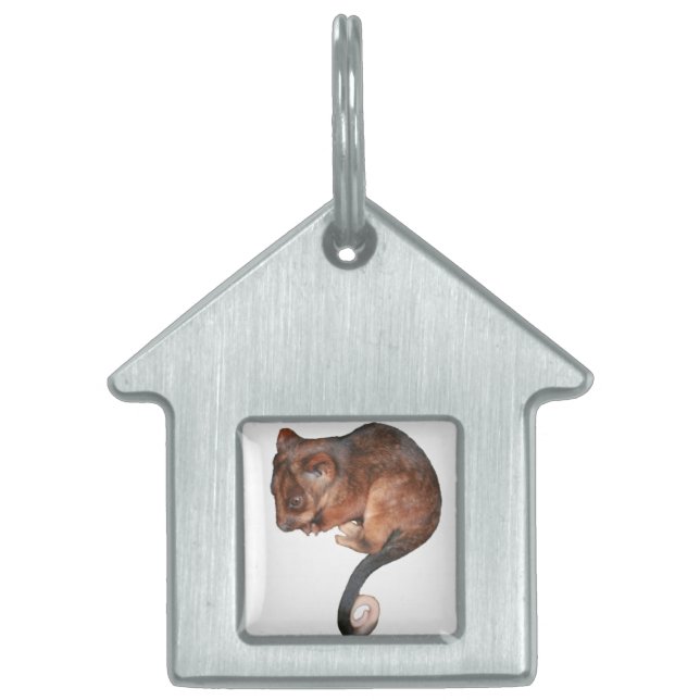 Niedlich Baby Ringtail Possum Tiermarke (Vorderseite)