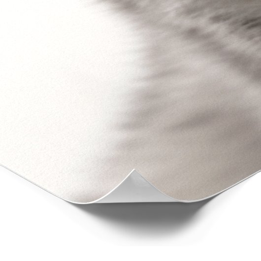 Niedlich Baby Siberian White Tiger Portrait | 1:1 Poster (Ecke)