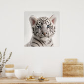 Niedlich Baby Siberian White Tiger Portrait | 1:1 Poster (Küche)