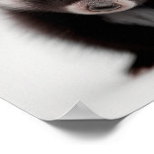 Niedlich Baby Skunk Portrait | Platz 1:1 Poster (Ecke)