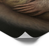 Niedlich Baby Sloth Smiling Wildlife Nature Animal Poster (Ecke)