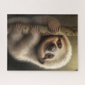 Niedlich Baby Sloth Smiling Wildlife Nature Animal Puzzle (Horizontal)