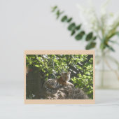 Niedlich Baby Tiger DIY Postkarte (Stehend Vorderseite)