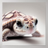 Niedlich Baby Turtle Portrait | Platz 1:1 Poster (Vorne)