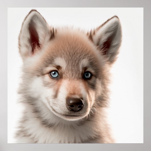 Niedlich Baby Wolf Portrait | Platz 1:1 Poster (Vorne)