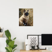 Niedlich balinesische Katzenkunst Print Poster (Heimbüro)