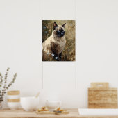 Niedlich balinesische Katzenkunst Print Poster (Küche)
