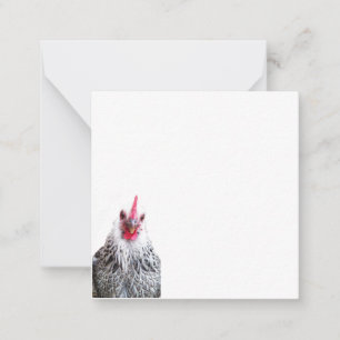 Niedlich Bantam Cochin Hen Foto Flat Mitteilungska Mitteilungskarte