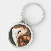NIEDLICH BARN OWL