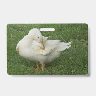 niedlich, Bauernhof, Tiere, Kinder, Nutztiere, Hau Ausweis