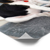 Niedlich Beagle Welpe Foto Poster (Ecke)