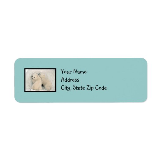 Niedlich Bears Robin's Egg Blue Address Labels (Vorne)