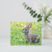 Niedlich Behaltend Postkarte (Stehend Vorderseite)