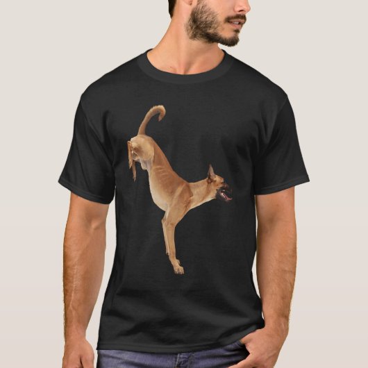 Niedlich belgische Malinois T-Shirt (Vorderseite)