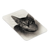 Niedlich Bengalisch Kitten Magnet (Rechte Seite)