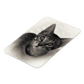 Niedlich Bengalisch Kitten Magnet (Linke Seite)