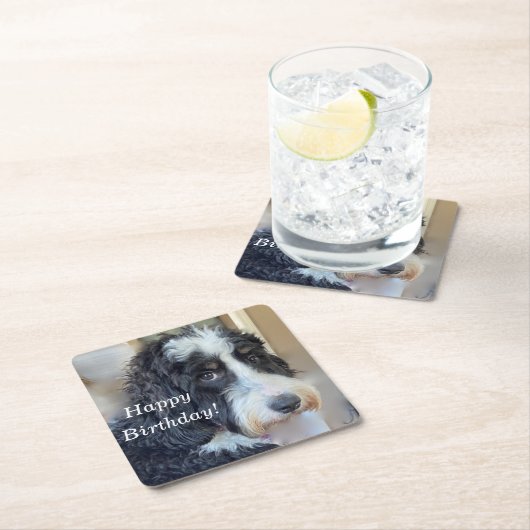 Niedlich Bernedoodle Rechteckiger Pappuntersetzer (Vor Ort)