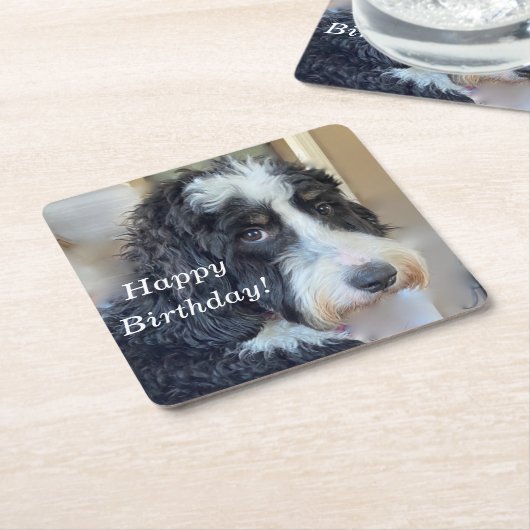 Niedlich Bernedoodle Rechteckiger Pappuntersetzer (angewinkelt)