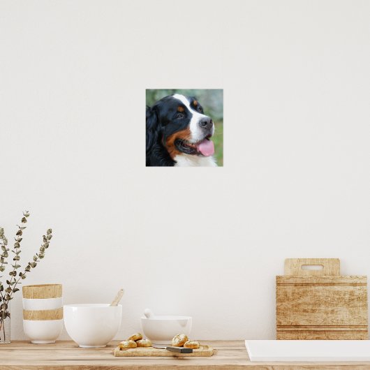 Niedlich-Bernese-Poster Poster (Küche)