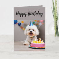 Niedlich Bichon Frisé Birthday