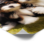 niedlich Biewer Terrier Welpen Poster (Ecke)