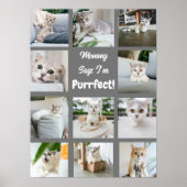 Niedlich bin ich Purfect Cat Foto Collage grau Poster (Vorne)