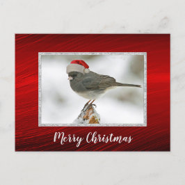 Niedlich Bird Santa Cap Foto Weihnachten Postkarte