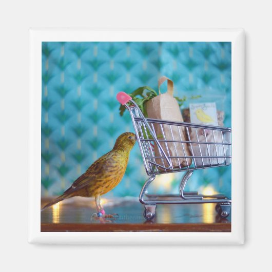 Niedlich Bird Shopping Magnet (Vorne)