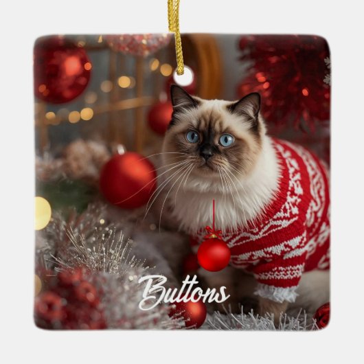 Niedlich Birman Cat Weihnachten Personalisierte Or Keramikornament (Vorderseite)