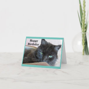 Niedlich Black Cat Geburtstag Karte