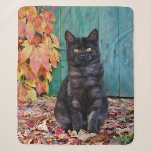 Niedlich Black Cat Kitten mit roten Blätter Blue D Sherpadecke