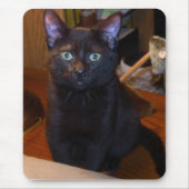 Niedlich Black Cat Mousepad (Vorne)
