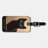 Niedlich Black Kitten AI Foto Style Gepäckanhänger (Vorderseite horizontal)