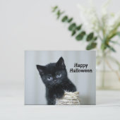 Niedlich Black Kitten Foto Twine Halloween Postkarte (Stehend Vorderseite)