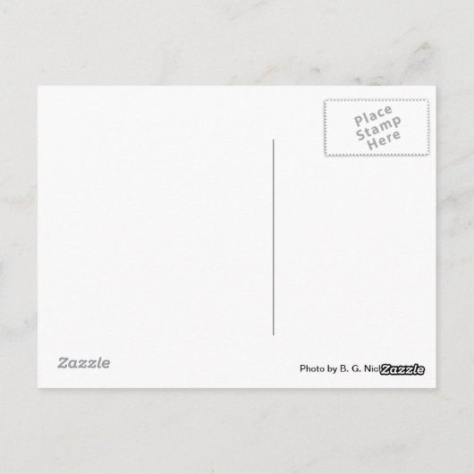 Niedlich Black Kitten Postkarte (Rückseite)