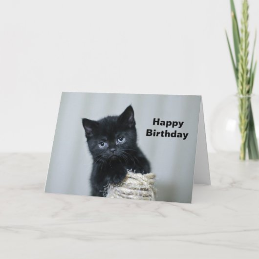 Niedlich Black Kitten Twine Foto Geburtstag Karte (Vorderseite)