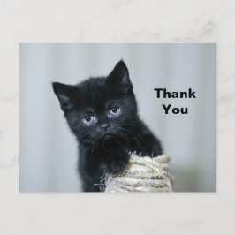 Niedlich Black Kitten Twine Foto Vielen Dank Postkarte